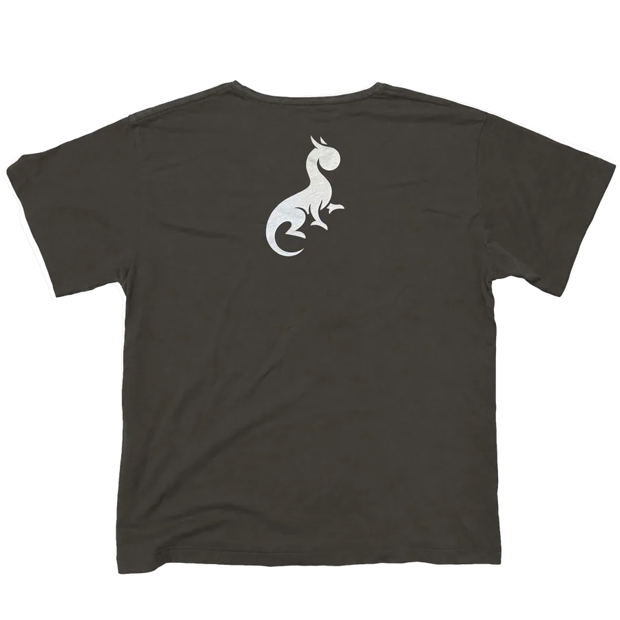 DT2 Souvenir Antiqued Tee - Brown