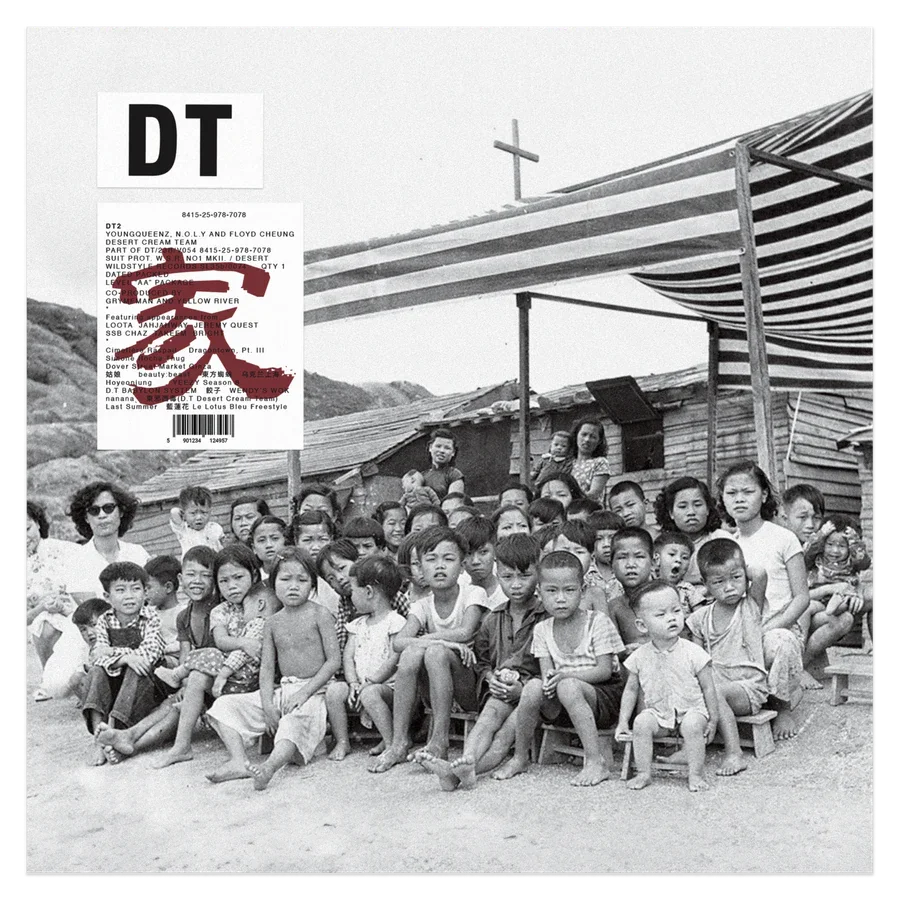 DT2 · Home ver. - white 2×LP